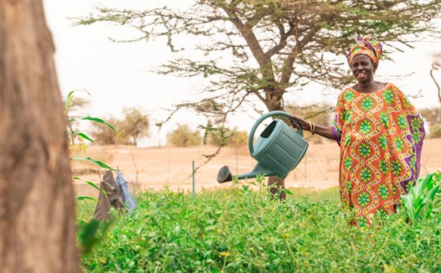 Sostegno alla produzione agricola e alla resilienza alimentare della regione di Kaffrine - SPRAK