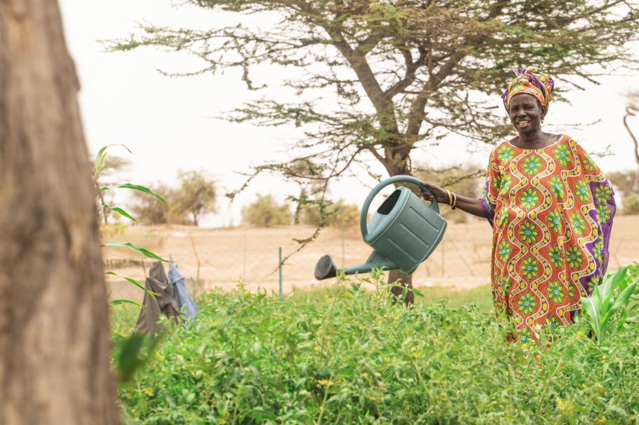 Sostegno alla produzione agricola e alla resilienza alimentare della regione di Kaffrine - SPRAK