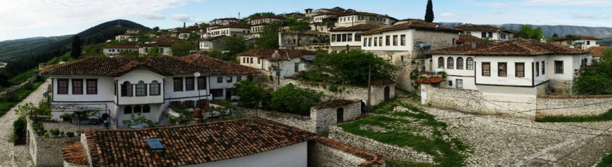 SVE A BERAT, RICERCA VOLONTARIO