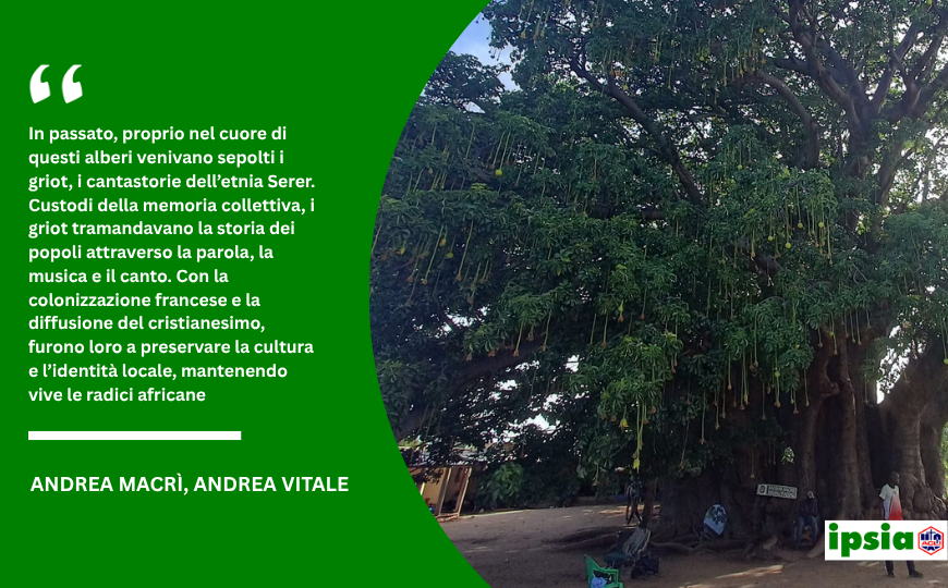 Il baobab del Senegal, l’albero protettore del paese