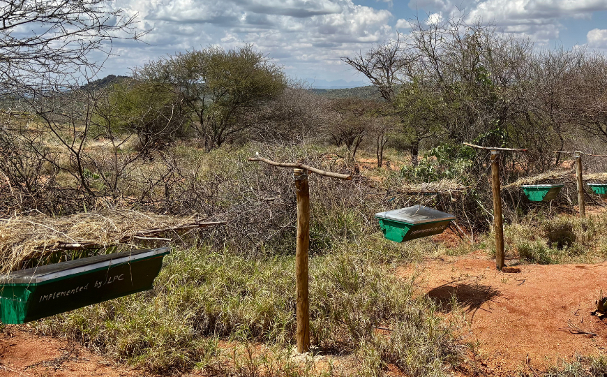Convivere con la fauna selvatica: dinamiche e sfide nel Kenya centrale