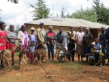 Sviluppo di filiere e accesso idrico per la sicurezza alimentare in Kenya