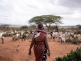 Laikipia: acqua, clima e convivenza in un territorio  sotto pressione